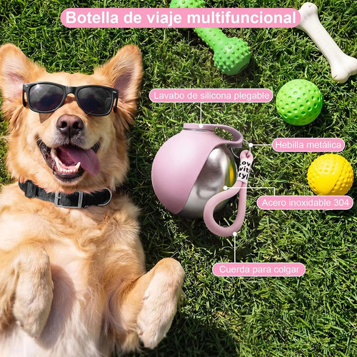 2-in-1 Portable Dog Water Bottle for Small Dogs - Leak-Proof & Compact Dog Travel Water Bottle -Stainless Steel Bottle & Silicon